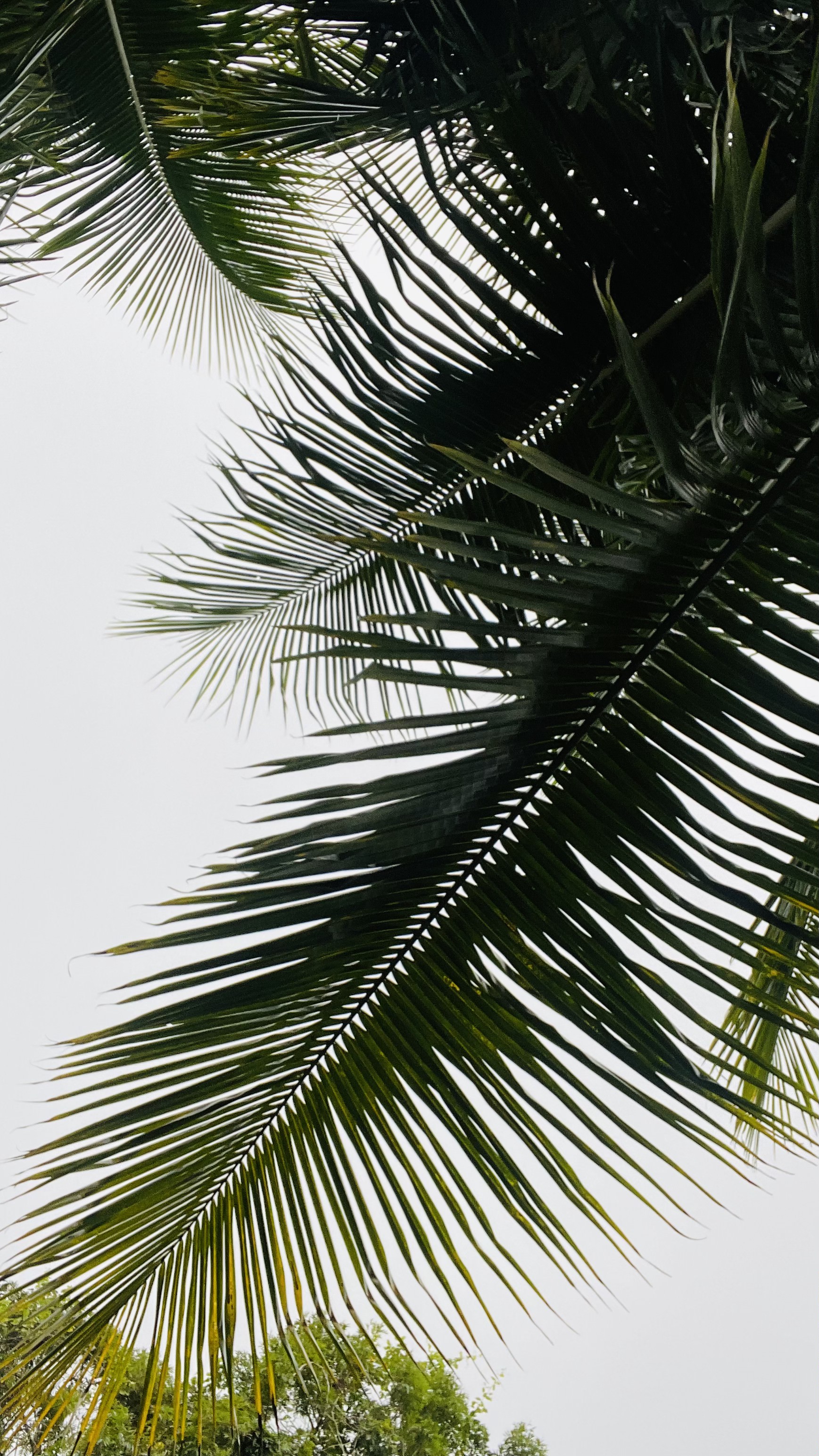 Hormonal & Metabolic balance